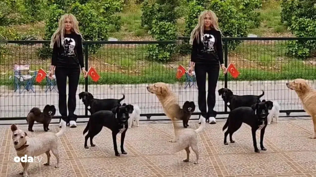 Seren Serengil'den Farklı 10 Kasım Anması