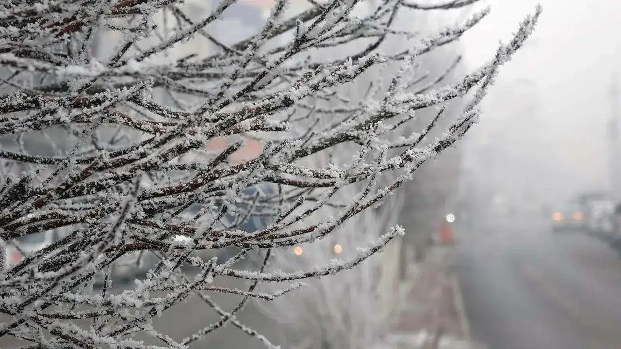 Diyarbakır'da Yoğun Sis Etkisini Sürdürüyor: Yağış Beklentisi