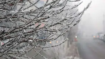 Diyarbakır'da Yoğun Sis Etkisini Sürdürüyor: Yağış Beklentisi