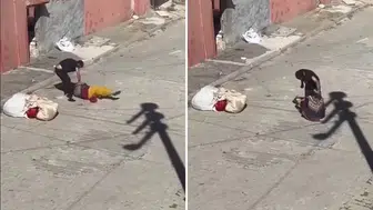 Eskişehir'de Sokak Ortasında Kadına Şiddet Olayı
