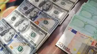 Döviz Kurlarında Yeni Gelişmeler: Dolar ve Euro'da Son Durum