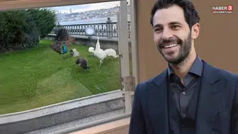 Hakan Sabancı'nın Boğaz'daki Yalısından Dikkat Çeken Görüntüler
