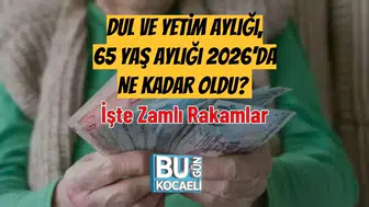 2026'da Dul ve Yetim Aylığı ile 65 Yaş Aylığı Ne Kadar Oldu?