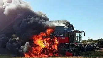 Hasat zamanı kabusa döndü: Çeltik tarlasında korkunç yangın