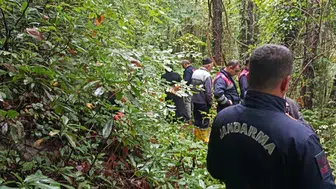 Kestane toplamak için ormana girmişti: Acı haber geldi