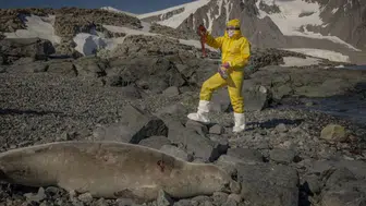 Türk bilim insanları Antarktika'da sağlık ve tarım alanında önemli araştırmalar yapıyorlar