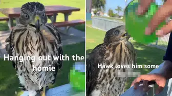 Koruma Altındaki Şahine Alkol Verip Sigara Yerleştiren Genç Hakkında Ne Gibi Cezalar Verildi?