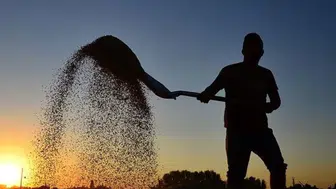 Çiftçilere 10,7 Milyar Liralık Tarımsal Destekleme Ödemesi Bugün Yapılacak