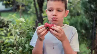 Domatesin tadı patlamış mısır gibi mi olacak? Yeni bir tür geliştirildi