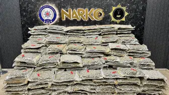 İstanbul'da düzenlenen büyük uyuşturucu operasyonunda 527 kilo Skunk ele geçirildi mi?
