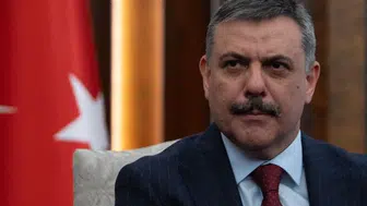 Sokak hayvanları için kritik eşik aşıldı: Türkiye genelinde her dört hayvandan üçü koruma altında