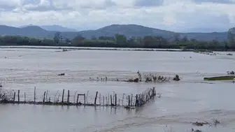 Edirne'de kabus dolu saatler: Meriç Nehri taştı, tarım arazileri sular altında kaldı