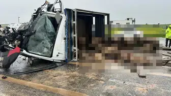 Siirt’te feci kaza: Koyun yüklü kamyonet ile otomobil çarpıştı, ortalık savaş alanına döndü