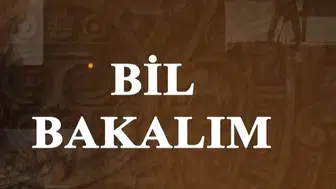 Okyanusların dişli efsanesi: Bir köpekbalığı ömründe kaç diş kaybediyor?