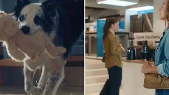 Bosch’un reklam kurgusu büyük tepki çekti: Bakanlık ve RTÜK harekete geçti