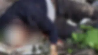 Sinekli Yaylası’nda dehşet: Dere kenarında kan donduran cinayet