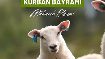 Bayram coşkusu dijitale taşınıyor: 2026 için en özel kutlama mesajları hazır