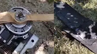 Sabah sessizliğini dev gövde bozdu: Fındık bahçesinde şok eden görüntü