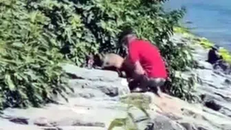 Avcılar’da kan donduran anlar: Savunmasız köpeği acımasızca darbetti