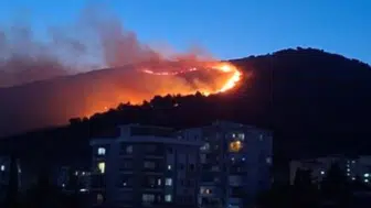 Karşıyaka'da kabus dolu saatler: Alevler otluk alandan ormana sıçradı