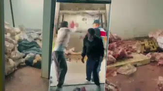 Başkentte büyük gıda vurgunu: 104 ton bozuk ete jandarma baskını