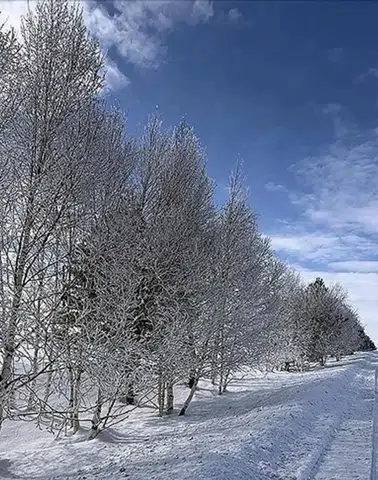 Doğu Anadolu'da Soğuk Hava ve Yağış Etkisini Sürdürüyor