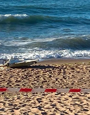 Dalgalar gizemli ziyaretçiyi kıyıya taşıdı: Karadeniz sahilinde hareketli saatler