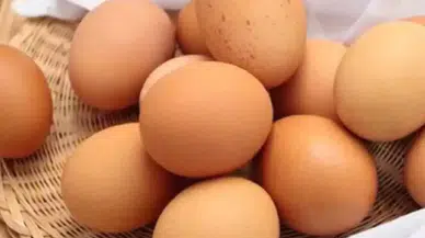 Yumurta Alerjisi Olanlara Grip Aşısı Uyarısı