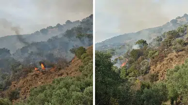 Aydın'da Orman Yangını: Müdahale Sürüyor