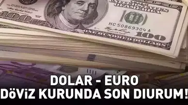 Döviz Kurlarında Son Durum: Dolar ve Euro Fiyatları 29 Kasım 2025
