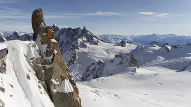 Zeytin Hırsızlığı: 2 Tutuklama