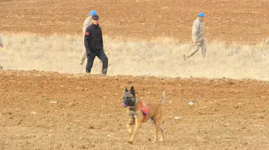Isparta'da Kesik Başlı Çoban Olayı: Jandarma Soruşturması Devam Ediyor