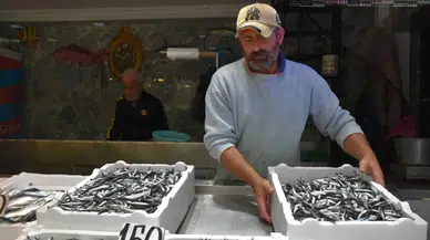 Trabzon'da Hamsi ve İstavrit Fiyatları Güncellendi