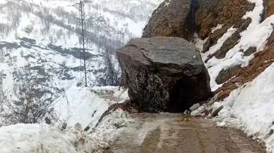 Bitlis'in Hizan ve Mutki İlçelerinde Heyelanlar Ulaşımı Olumsuz Etkiledi