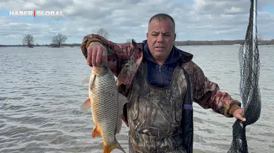 Edirne'de meriç nehrinin taşması sonrası tarlada sazan avı nasıl başladı?