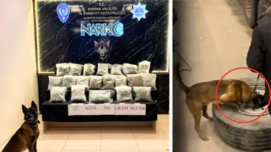 Edirne'de tır lastiğinden çıkan uyuşturucu maddesi ne anlama geliyor?