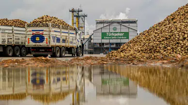Türkşeker, Şeker Fabrikalarının Satıldığı İddialarına Üretim Rakamlarıyla Cevap Verdi