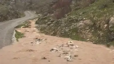 Silvan'da Sağanak Yağışlar Taşkınlara Neden Oldu mu?