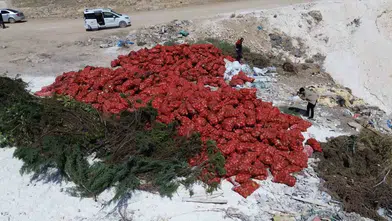Ankara'da vicdanları sızlatan görüntü: Tonlarca soğan çöpe atıldı, Bakanlık harekete geçti