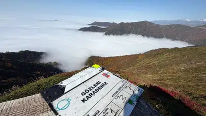 Gözleri KaraDeniz Rize’ye Döndü