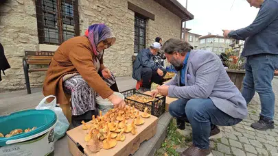 Safranbolu'da Kanlıca Mantarına Büyük İlgi