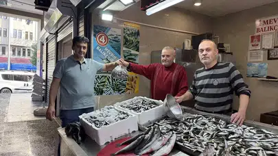Trabzon'da İstavrit Fiyatı 100 Lira, Hamsi Fiyatı Yükseliyor