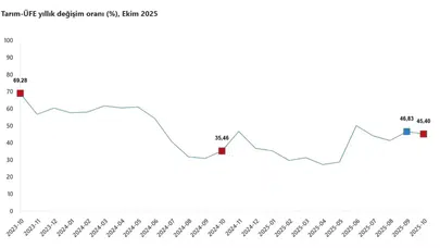 Ekim Ayında Tarım Ürünleri Üretici Fiyatlarında Artış