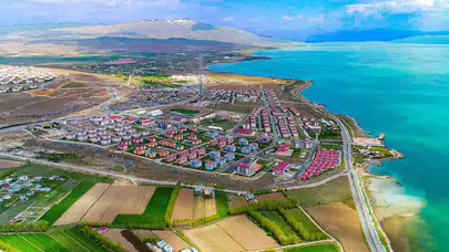 Van Erciş'te Üzüm Hasadı Coşkusu: Kilosu 50 ile 100 Lira Arasında Satılıyor