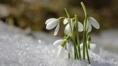 Baharın Müjdecisi Cemre Ne Zaman Düşecek? 2026 Takvimi Açıklandı