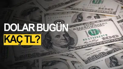 Döviz Kurlarındaki Son Durum: Dolar ve Euro Fiyatları