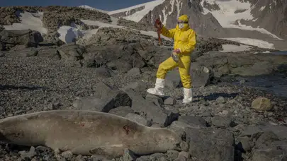 Türk bilim insanları Antarktika'da sağlık ve tarım alanında önemli araştırmalar yapıyorlar