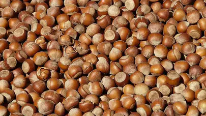 Ordu'da fındık fiyatları ne kadar oldu? güncel rakamlar açıklandı