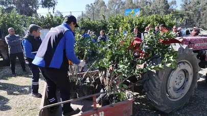 Zirai dondan zarar gören üreticilere fidan desteği sağlanıyor mu?