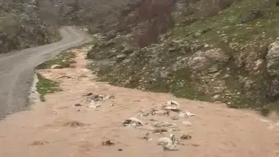 Silvan'da Sağanak Yağışlar Taşkınlara Neden Oldu mu?